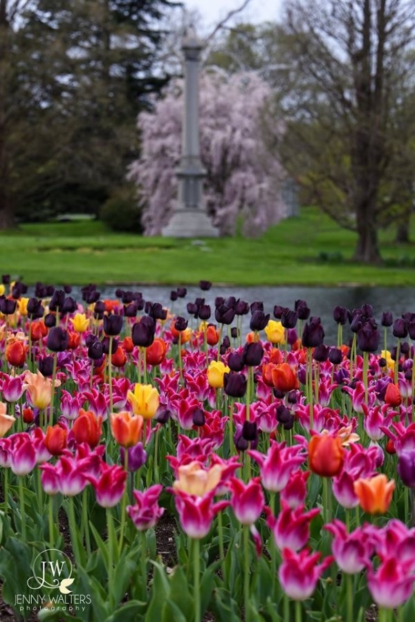 Cincinnati Funeral Home Gallery | Cincinnati Spring Grove Cemetery